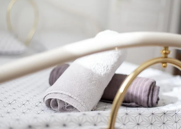 Appartement T3 Hyper Centre - Chaleureux Et Lumineux Toulouse