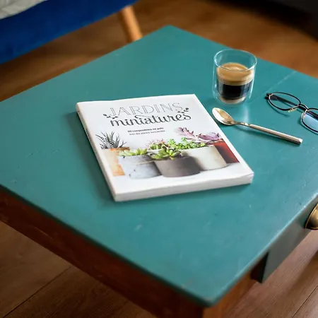 Appartamento T3 Hyper Centre - Chaleureux Et Lumineux Tolosa